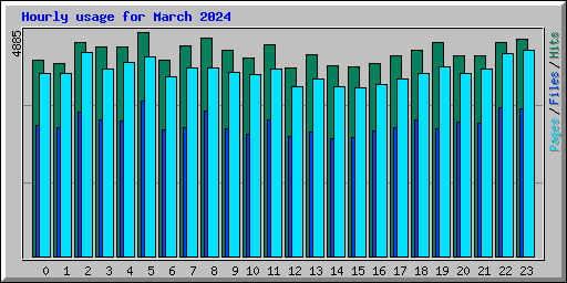 Hourly usage for March 2024