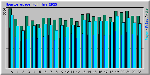 Hourly usage for May 2025