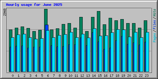 Hourly usage for June 2025
