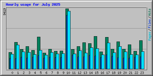 Hourly usage for July 2025