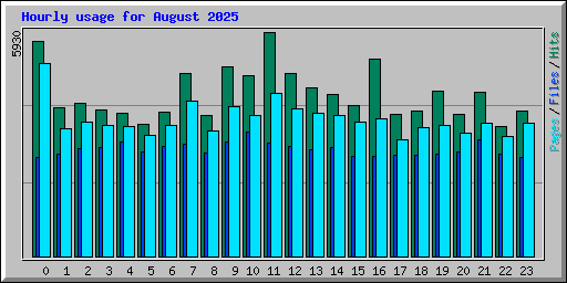 Hourly usage for August 2025