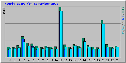 Hourly usage for September 2025