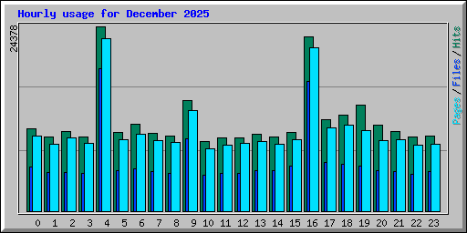 Hourly usage for December 2025