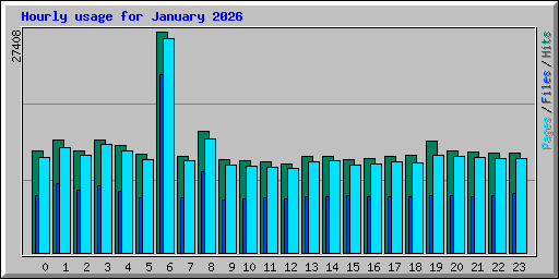 Hourly usage for January 2026
