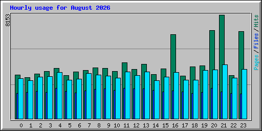 Hourly usage for August 2026